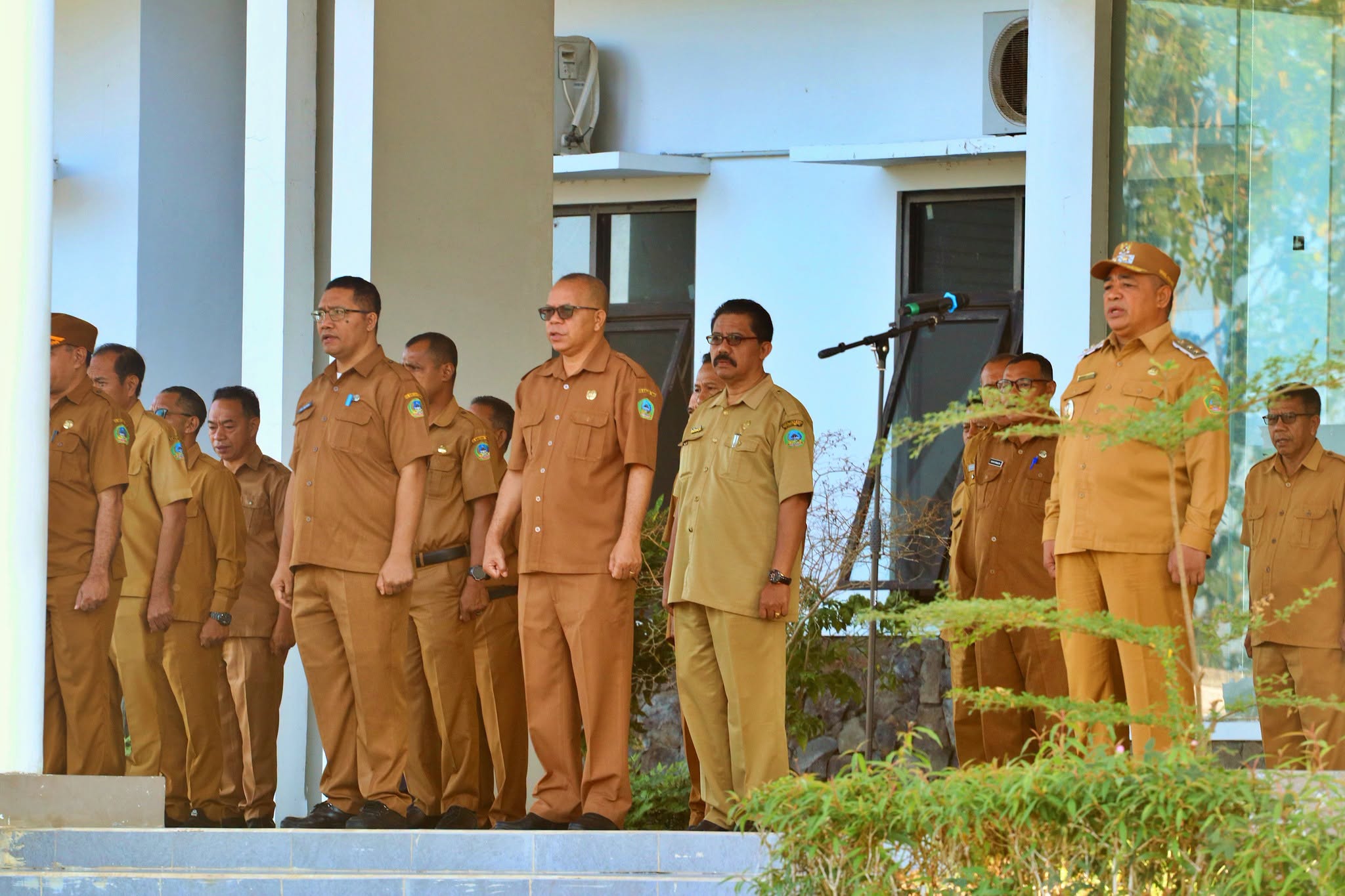 ultah 1